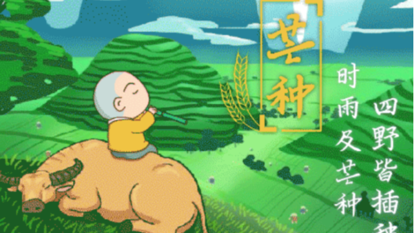 讓我們在芒種這個節氣（qì）裏發揚農民的精神創造屬於自己的美好未來